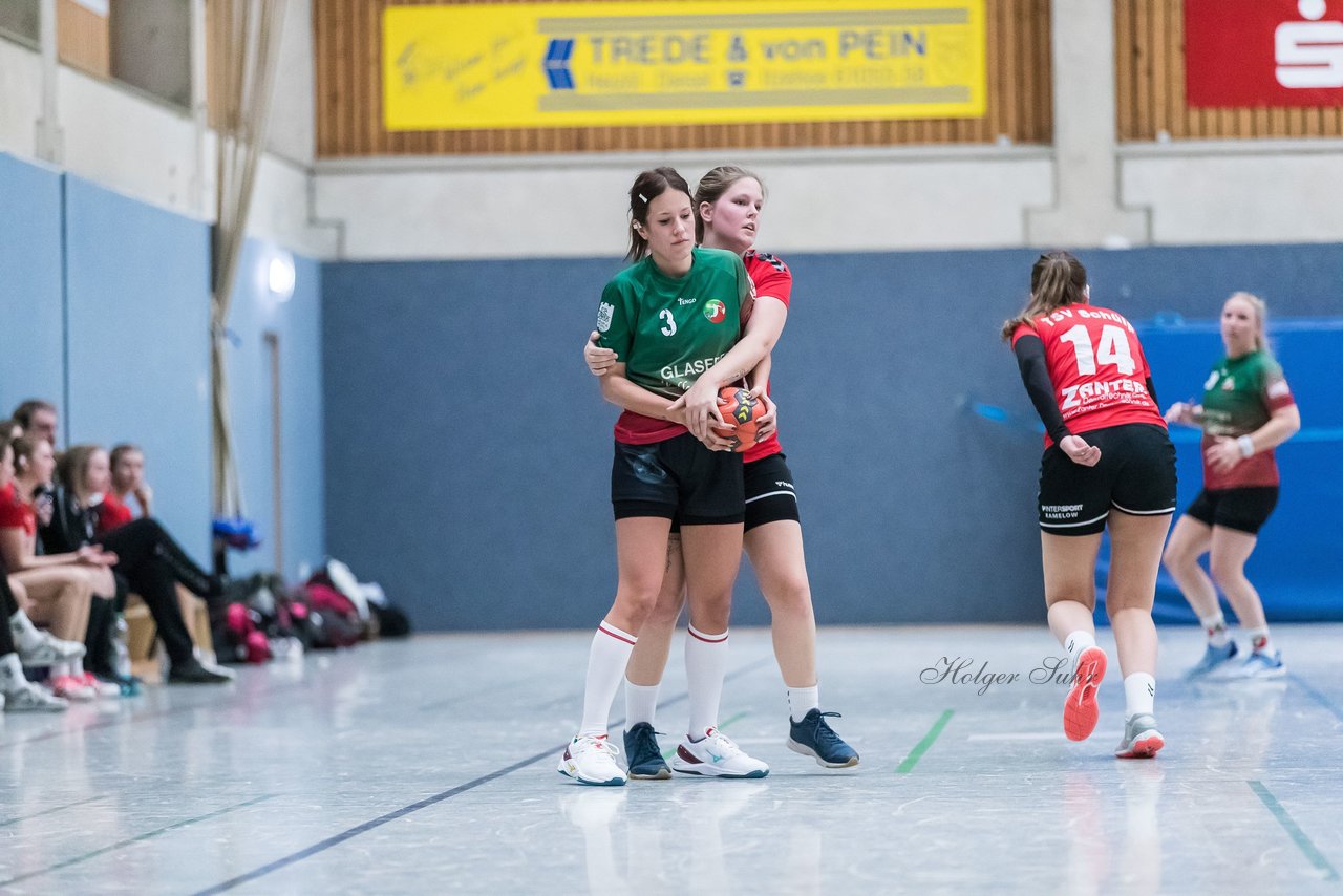 Bild 237 - F HSG Kremperheide/Muensterdorf - TSV SR Schuelp : Ergebnis: 19:14